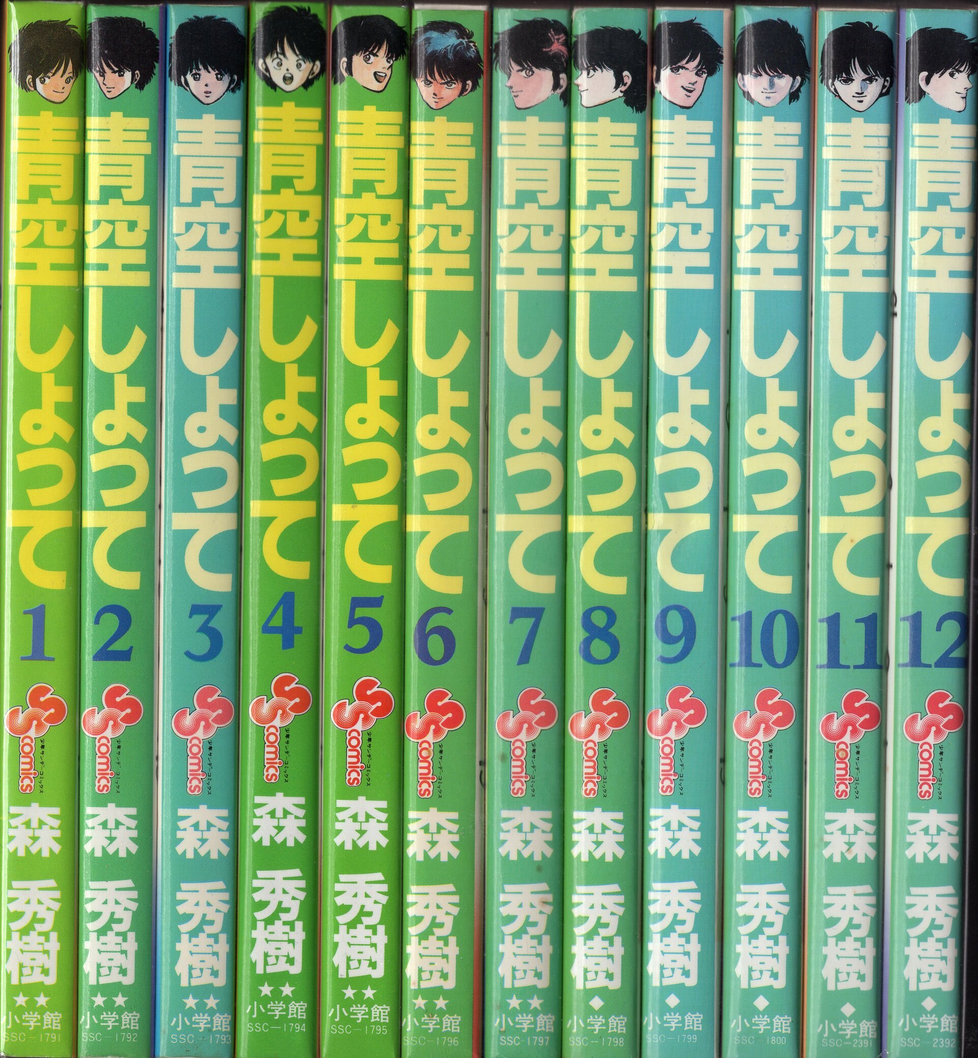 小学館 少年サンデーコミックス 森秀樹 青空しょって 全24巻 再版セット まんだらけ Mandarake