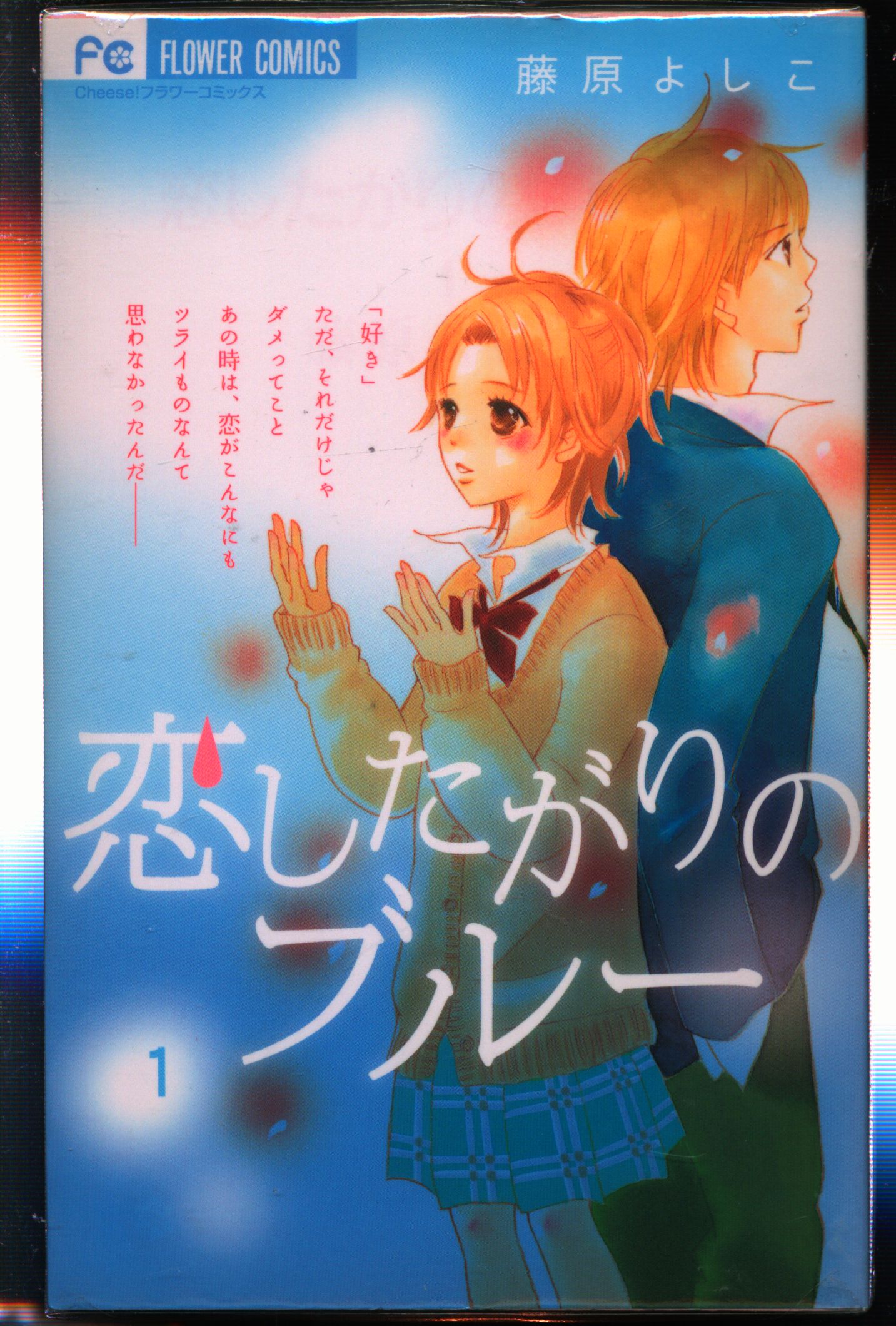 小学館 フラワーコミックスチーズ 藤原よしこ 恋したがりのブルー 全6巻 セット まんだらけ Mandarake