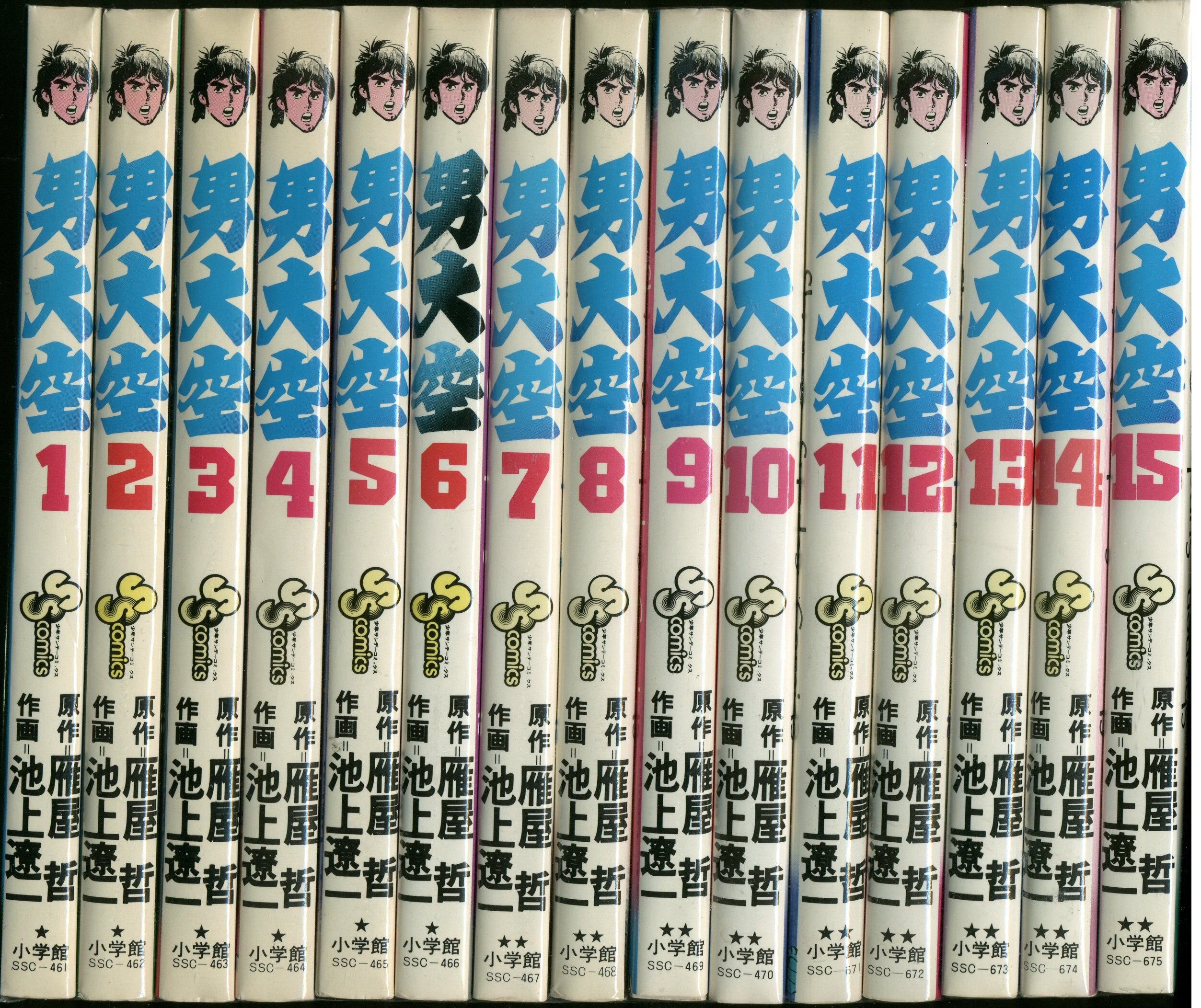 小学館 少年サンデーコミックス 池上遼一 男大空全15巻 セット まんだらけ Mandarake