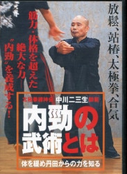 A martial art / China martial art 