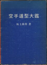 A martial art/karate 