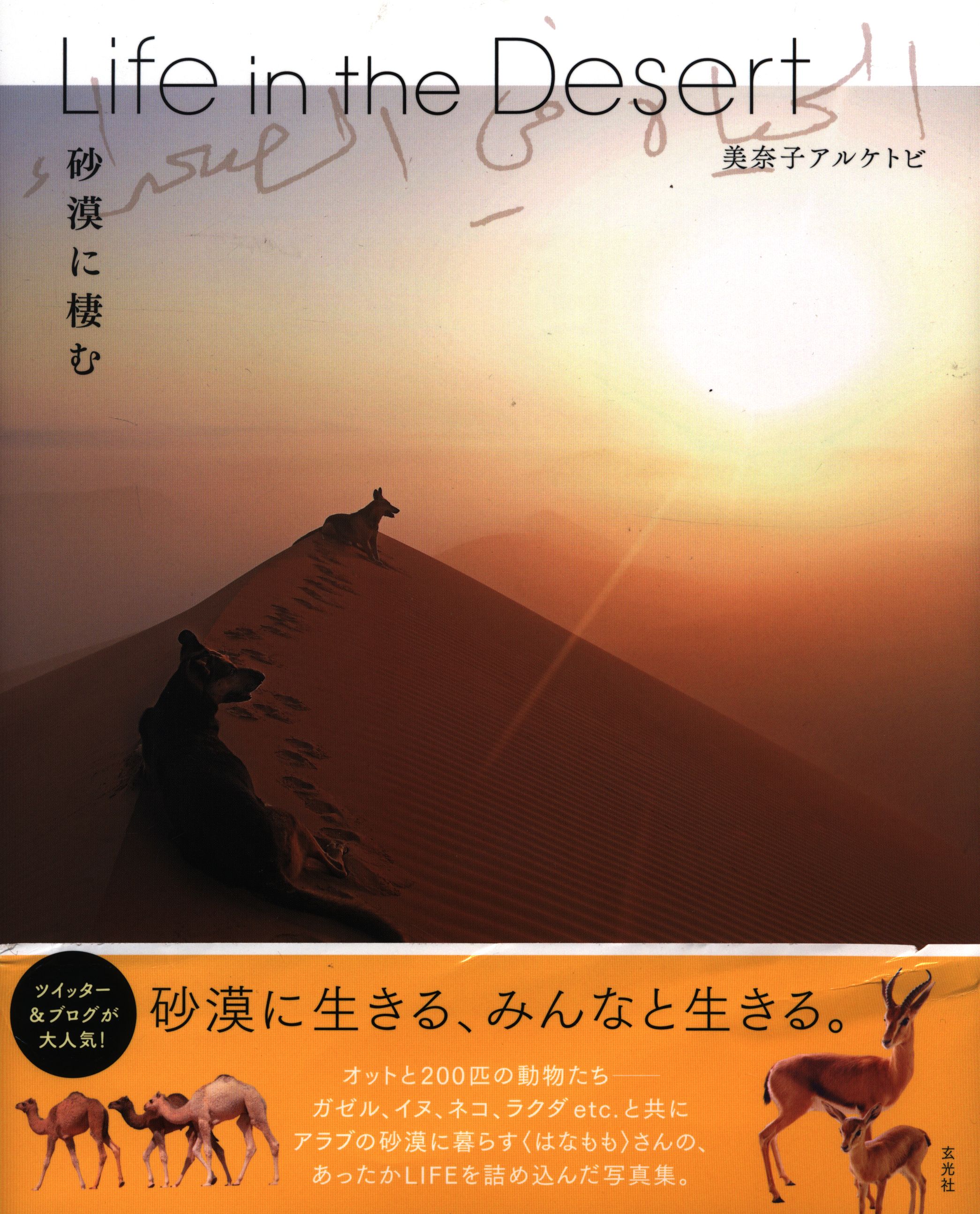 Life In The Desert 砂漠に棲む まんだらけ Mandarake