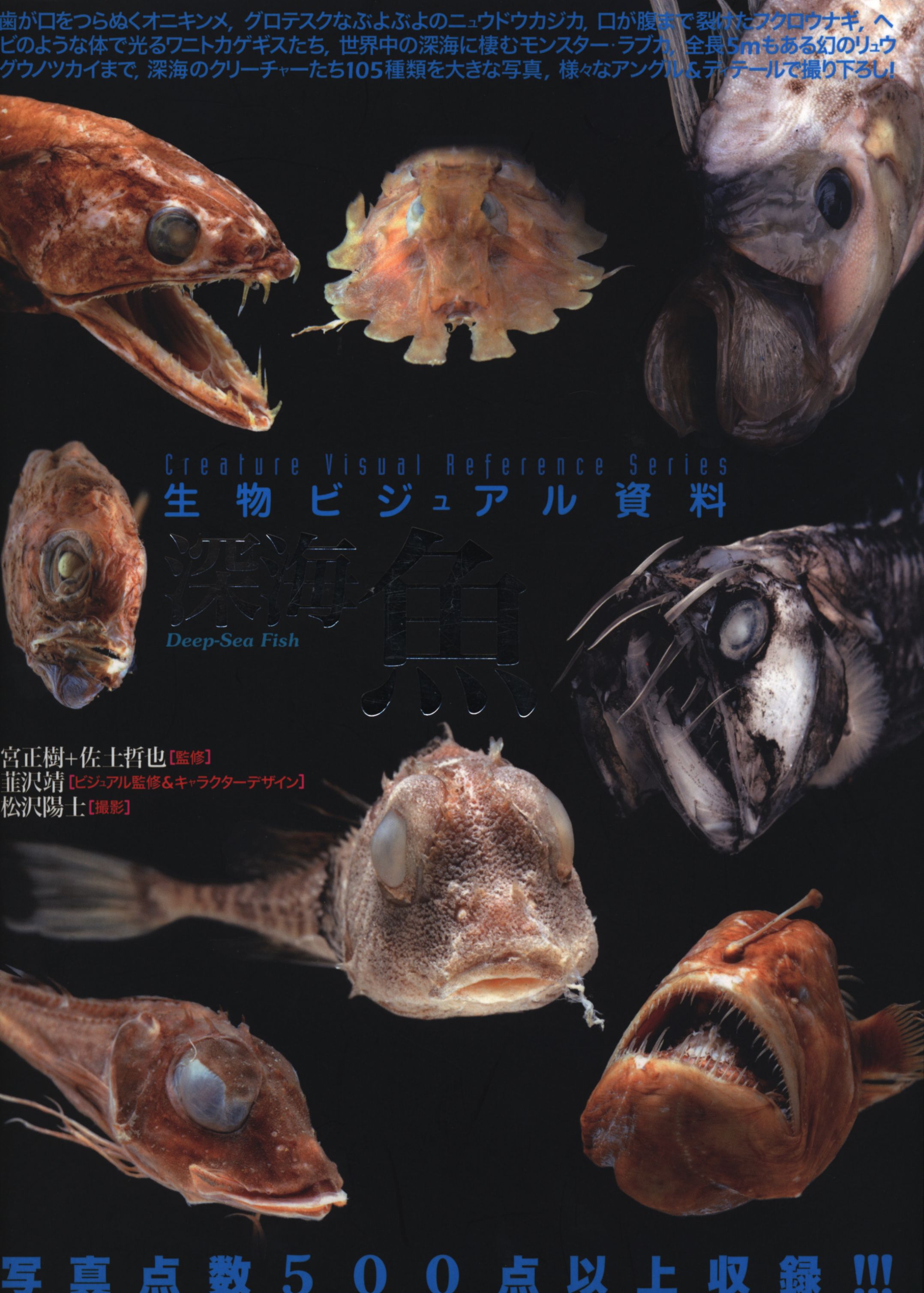 宮正樹 生物ビジュアル図鑑 深海魚 まんだらけ Mandarake