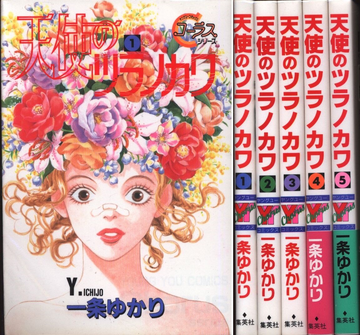 集英社 YOUNG YOUコミックス 一条ゆかり 天使のツラノカワ 全5巻 セット | まんだらけ Mandarake
