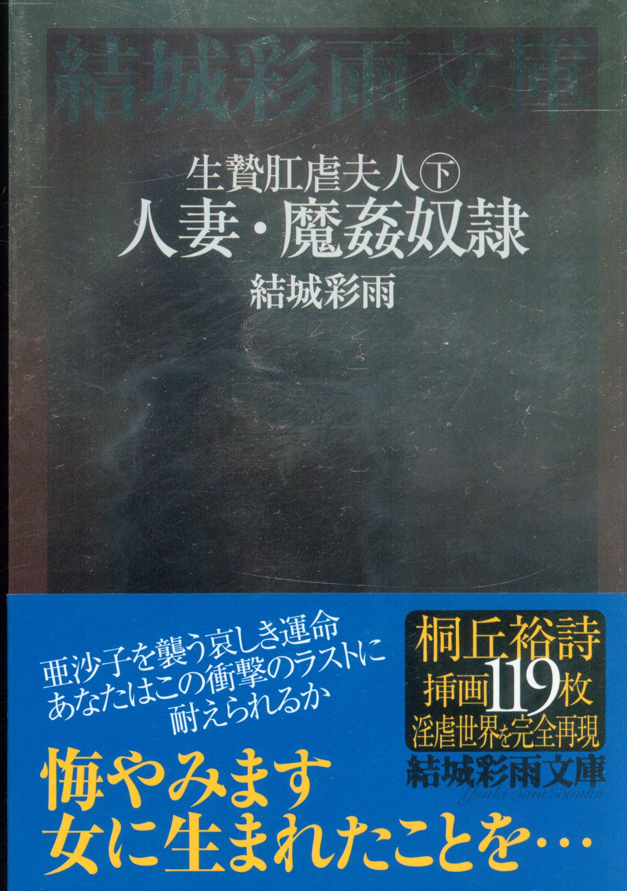 金額次第ではバラ売りも可結城彩雨 １５冊 - 文学/小説