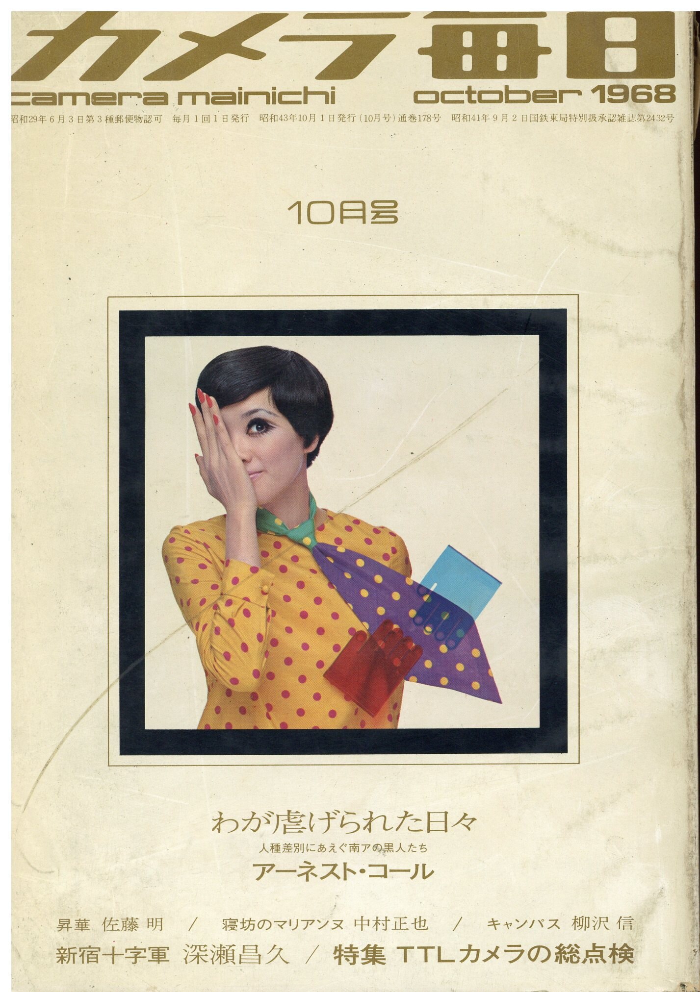 カメラ毎日 1981年 12冊 - 雑誌