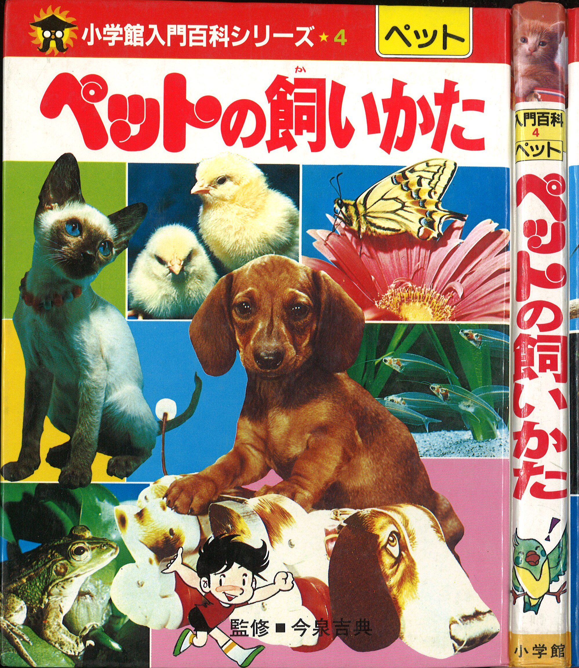 小学館 小学館入門百科シリーズ 4 ペットの飼い方 カバー欠 まんだらけ Mandarake