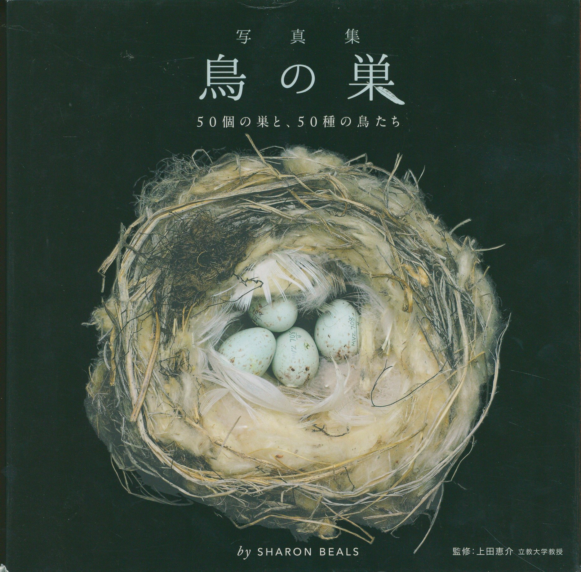 Sharon Beals Photograph Collection: Bird's Nests - 50 nests and 50 species  of birds | Mandarake Online Shop