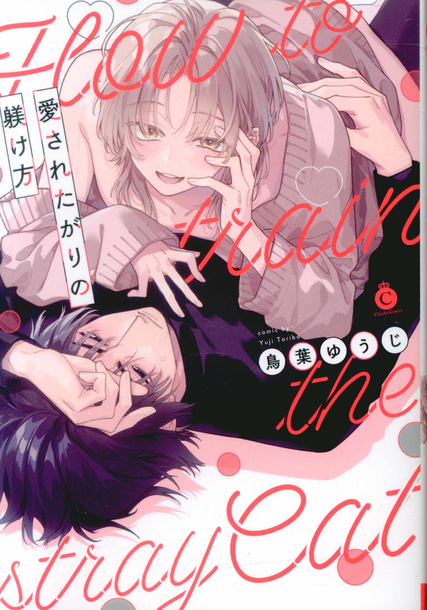 Mediasoft Charles Comics Yuji Toriba Is Loved But How to Discipline