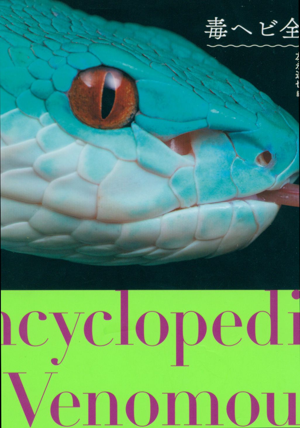 毒ヘビ全書 - ノンフィクション、教養