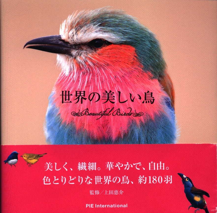 上田恵介 世界の美しい鳥 まんだらけ Mandarake