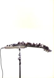 analogues