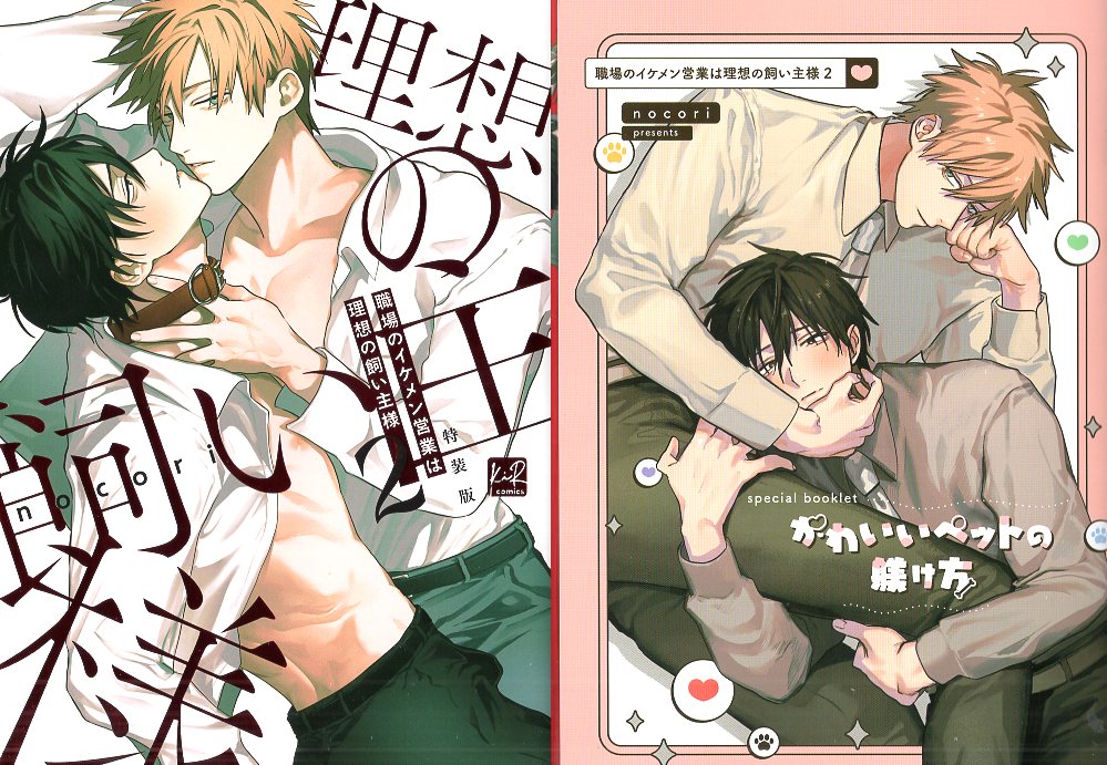 Sankosha KiR Comics Nocori: The Handsome Man at Work Sales Is the Ideal Owner Special Edition with booklet 2