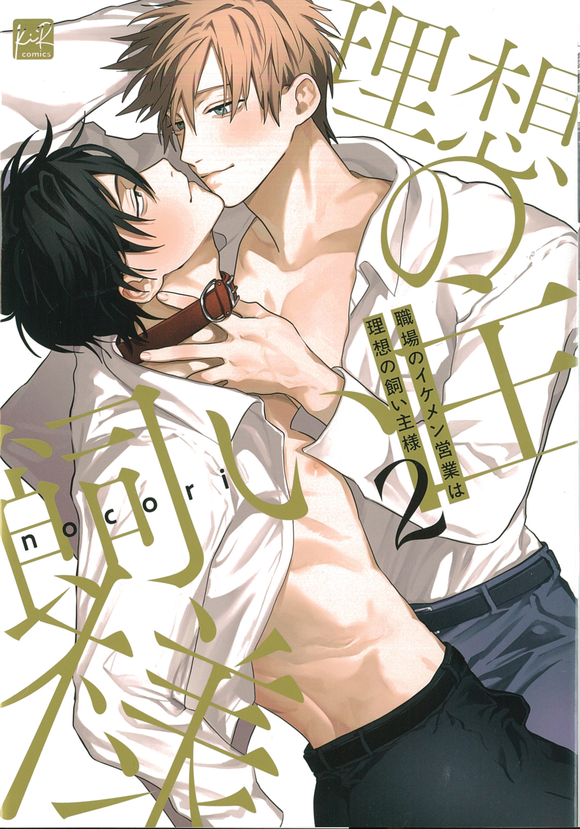 Sankosha KiR Comics Nocori Handsome Sales Man at Work Is the Ideal Owner 2