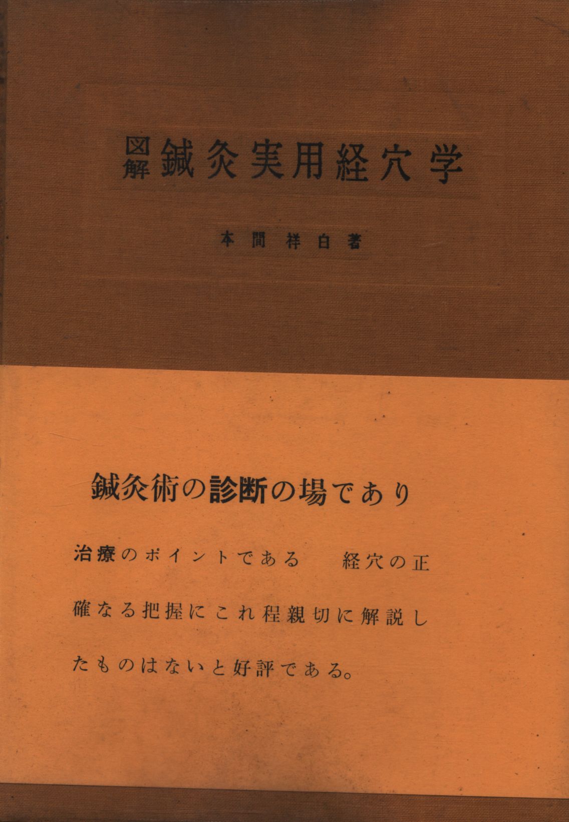 鍼治新書 治療篇 - 文学