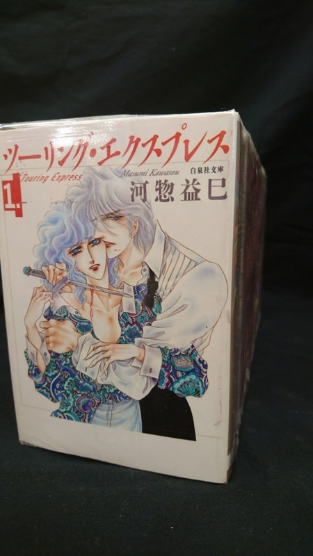 白泉社 白泉社文庫 河惣益巳 ツーリング エクスプレス 文庫版 全14巻 セット まんだらけ Mandarake