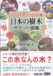 A library/Shincho paperback 