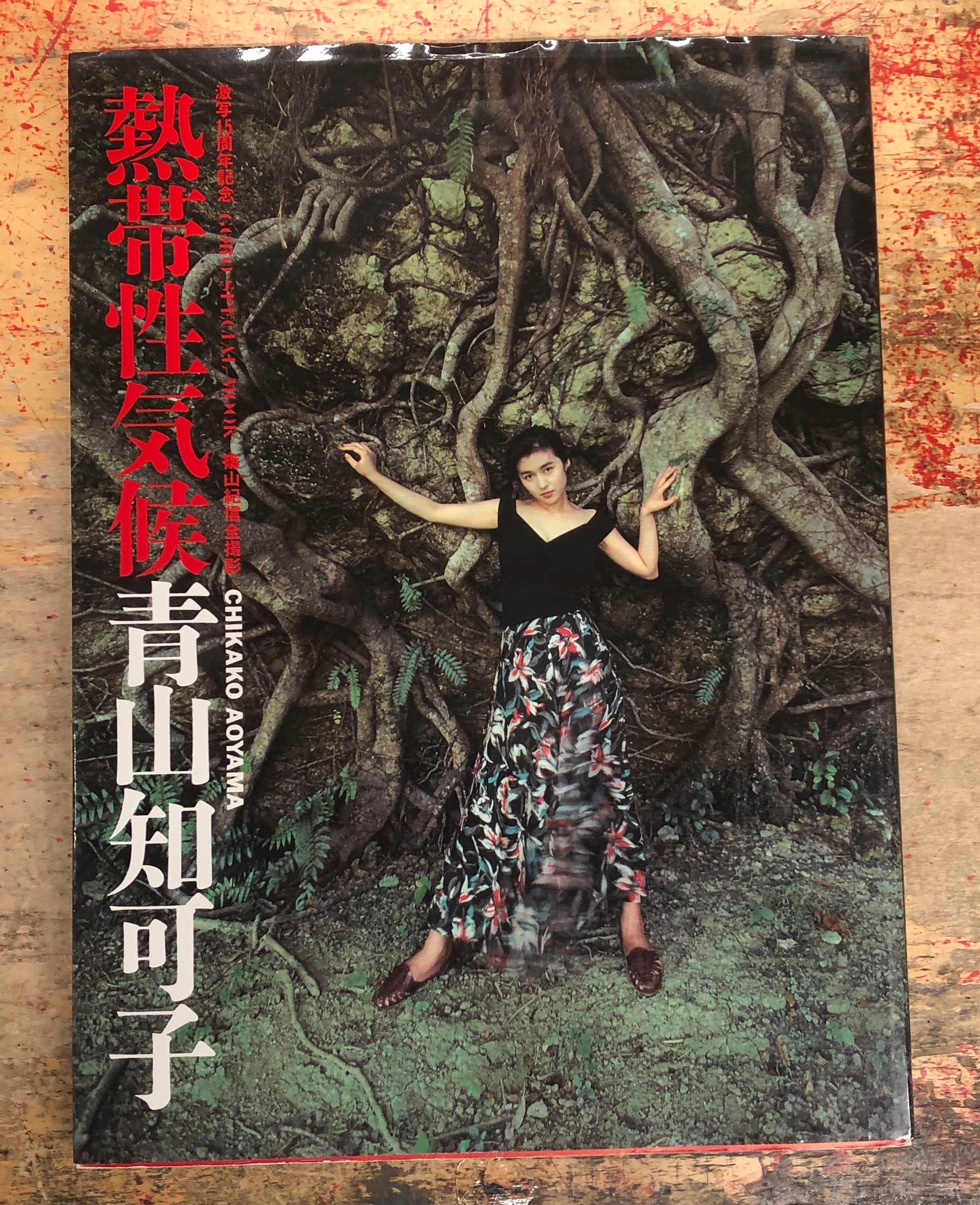 青山知可子 写真集 熱帯性気候 篠山紀信全撮影 - 文学/小説