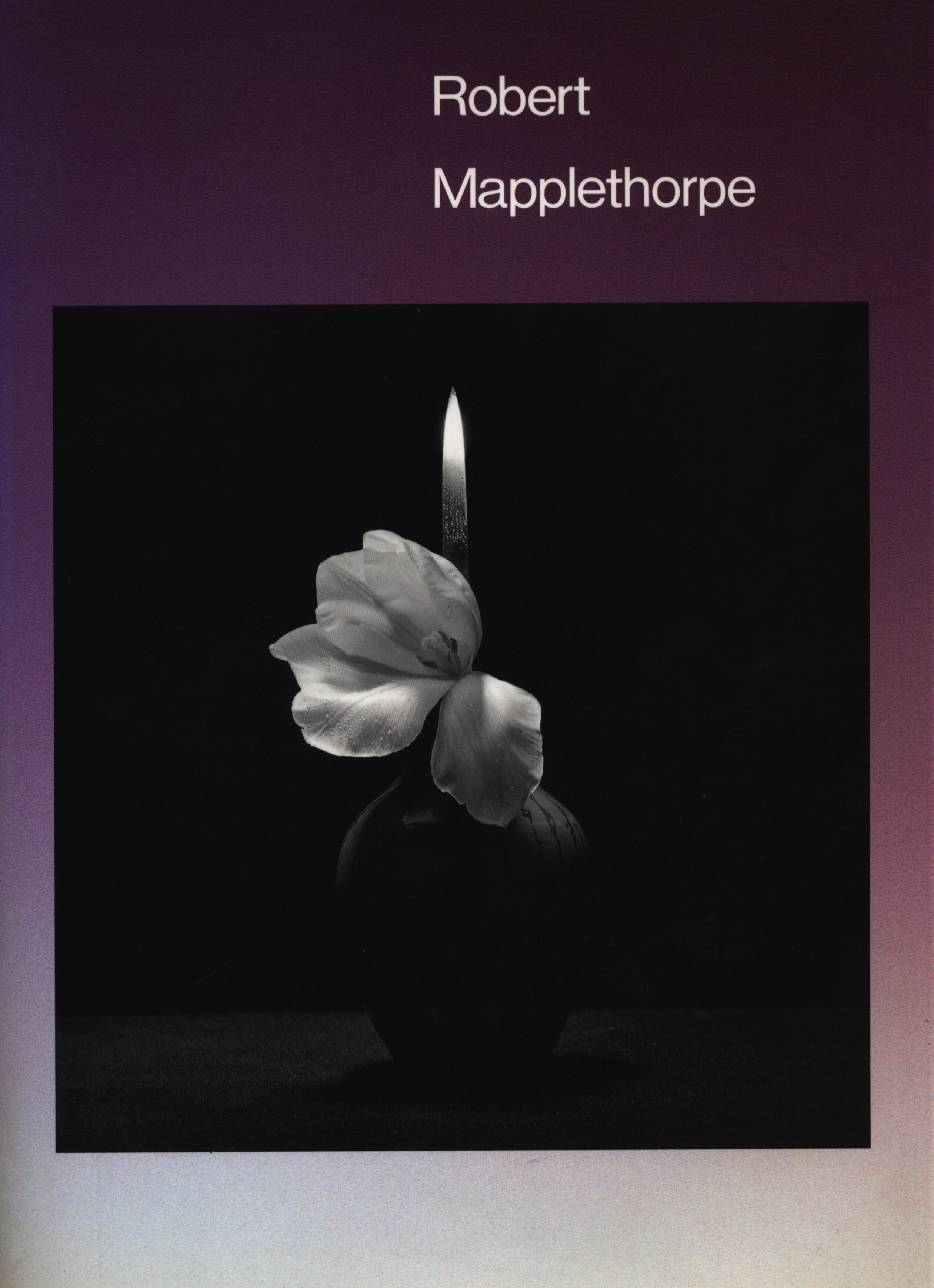 Asahi Shinbunsha Publications Catalog Robert Mapplethorpe Exhibition
