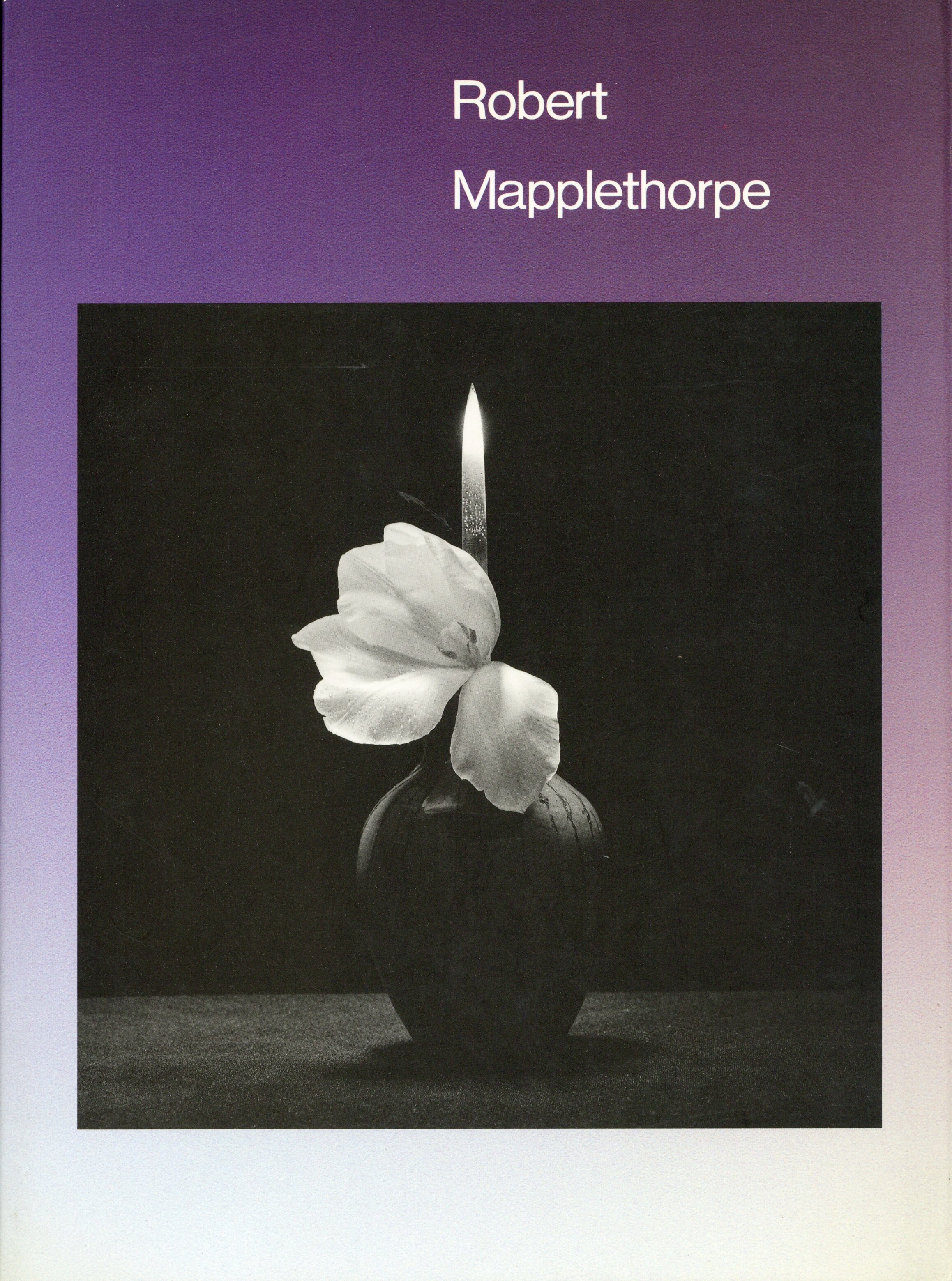 図録 Robert Mapplethorpe ロバート メイプルソープ展 まんだらけ Mandarake