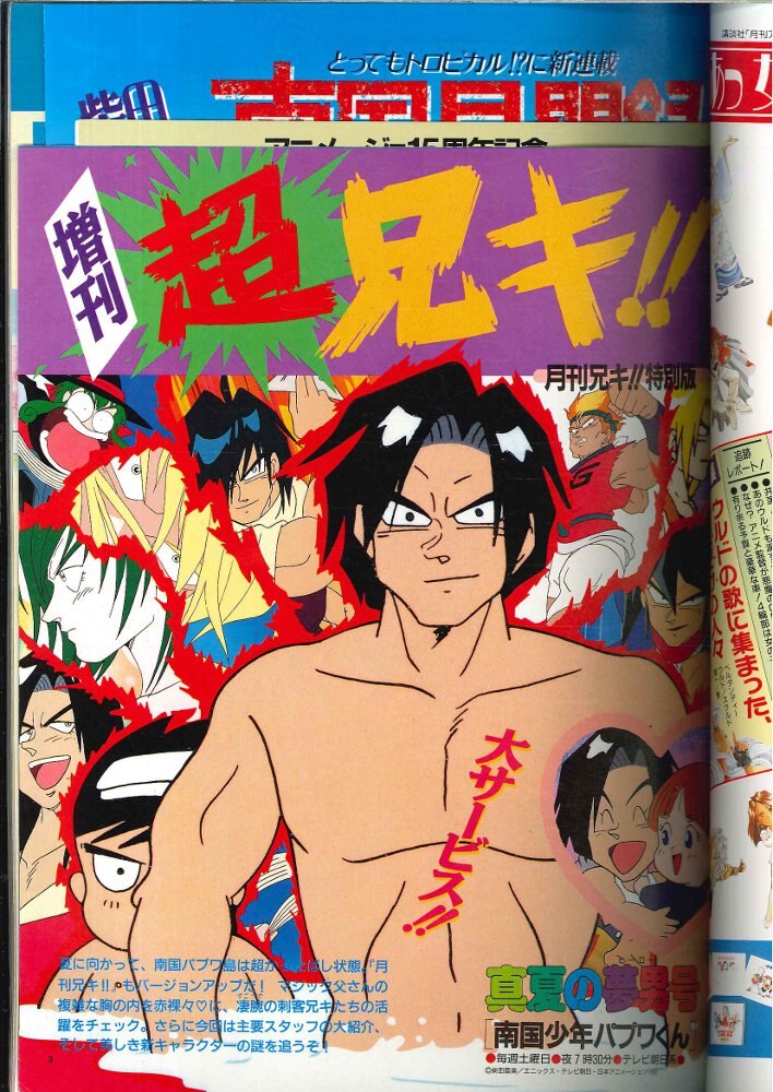 アニメージュ 1月号 平成5年 1993年 印刷物 特報 海がきこえる