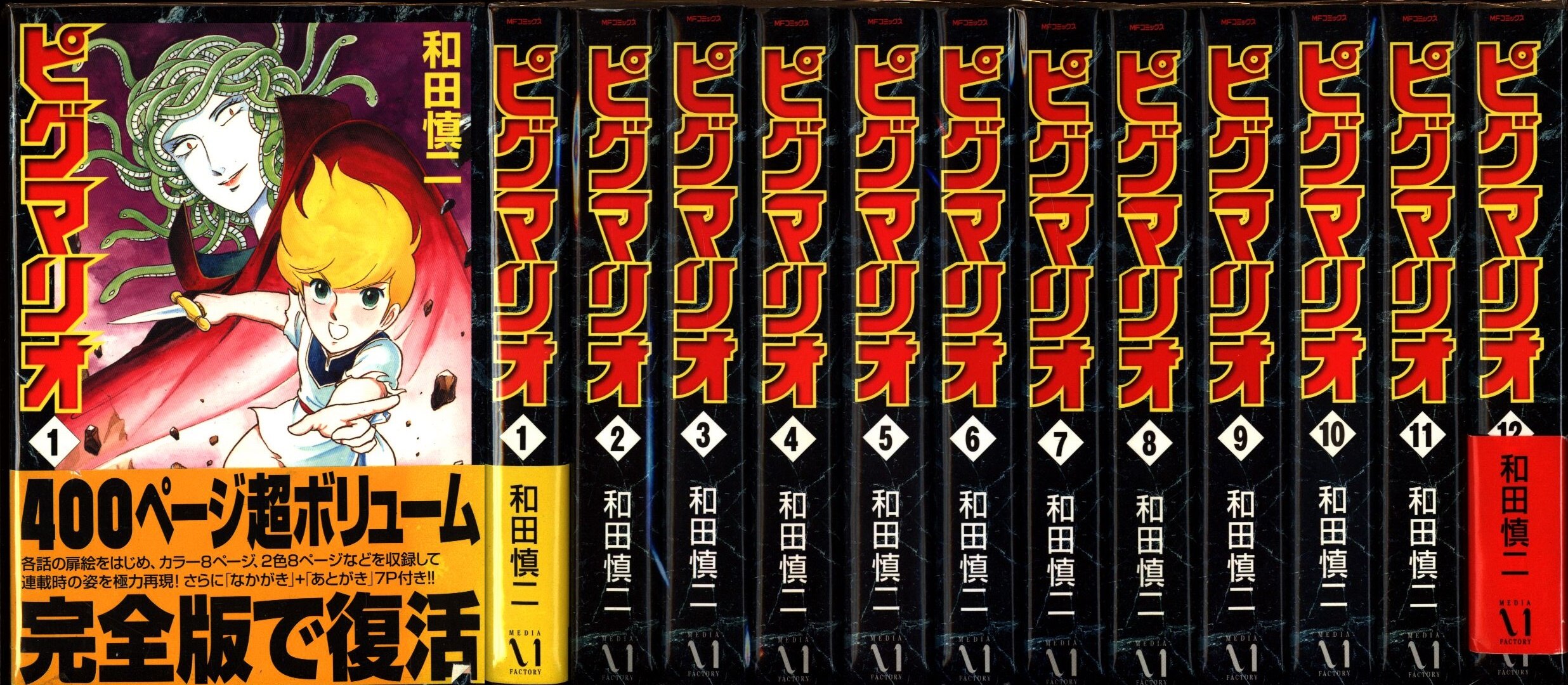 商品サイズ 和田慎二「ピグマリオ」全12巻セット 全巻 初版 ワイド版 