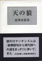 Akira Tomizawa