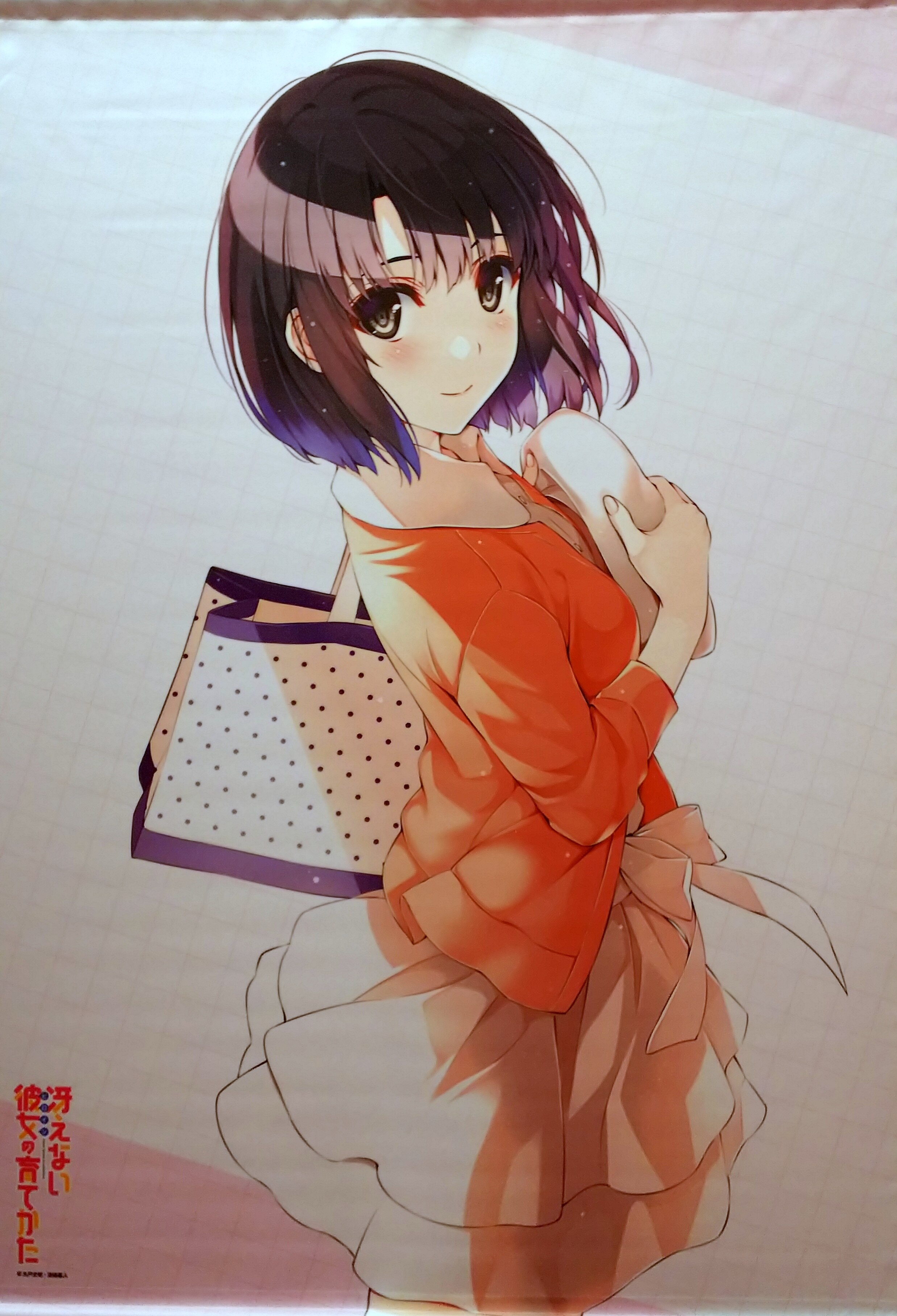 Kadokawa タペストリー 深崎暮人 加藤恵タペストリーc93限定特典缶バッジ付 C93 まんだらけ Mandarake