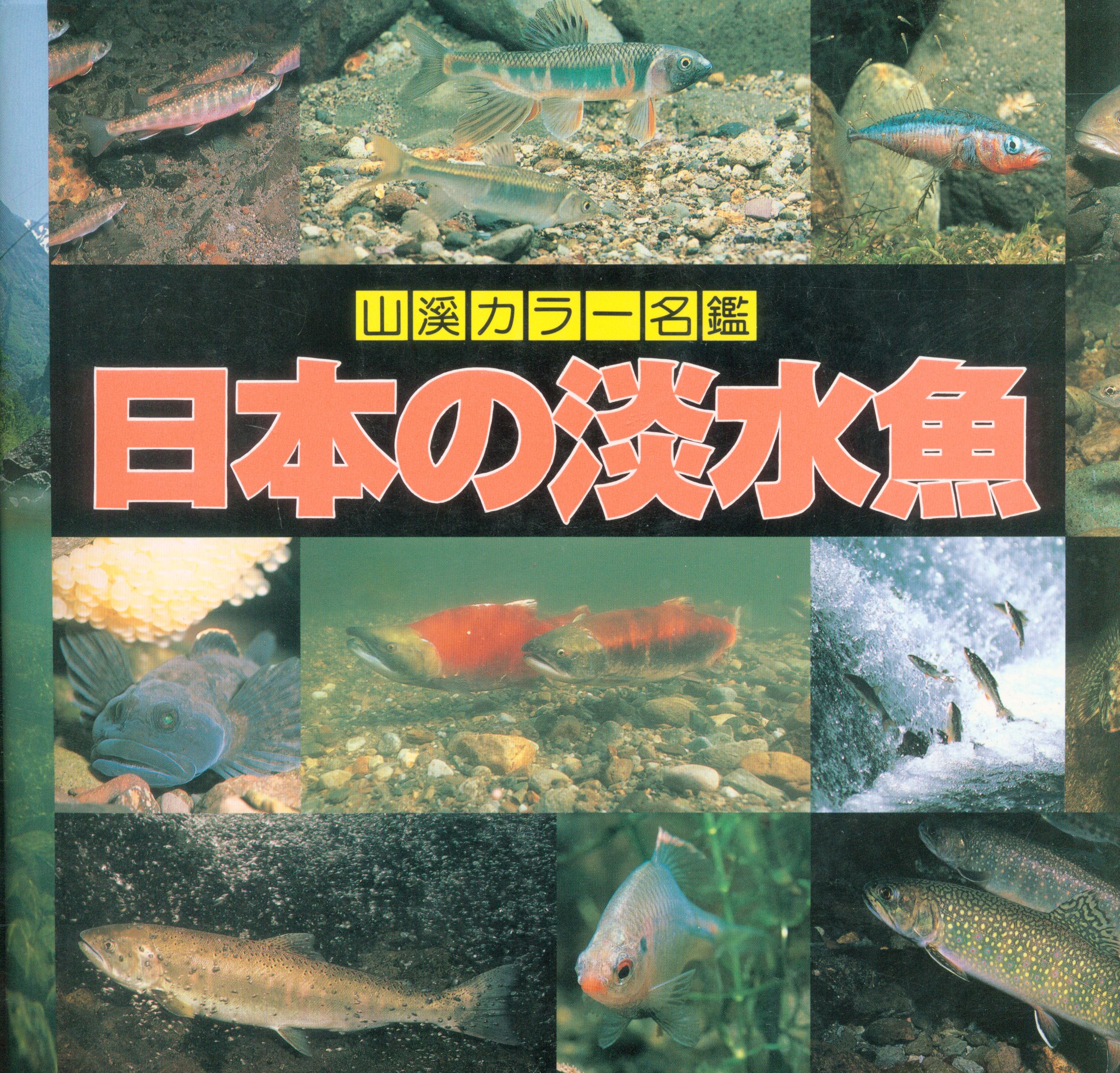 山と渓谷社 山渓カラー名鑑 日本の淡水魚 まんだらけ Mandarake