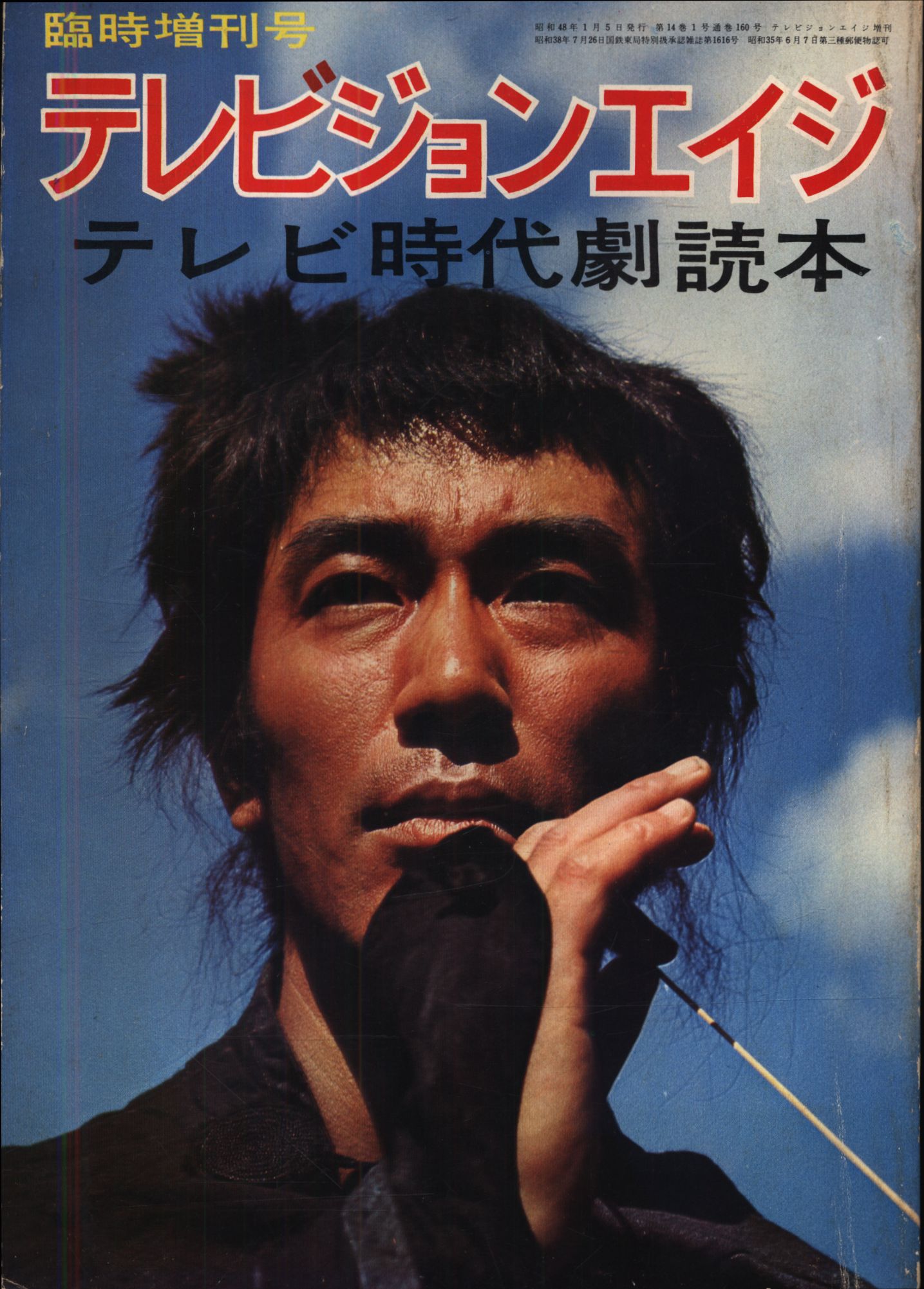 ザテレビジョン 1 7増刊号 卸売 - その他