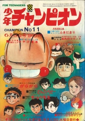 激レア1970年ワールドチャンピオンシリーズパンフレット 激レア1970年ワールドチャンピオンシリーズパンフレット 1970年