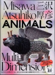Atsuhiko Misawa