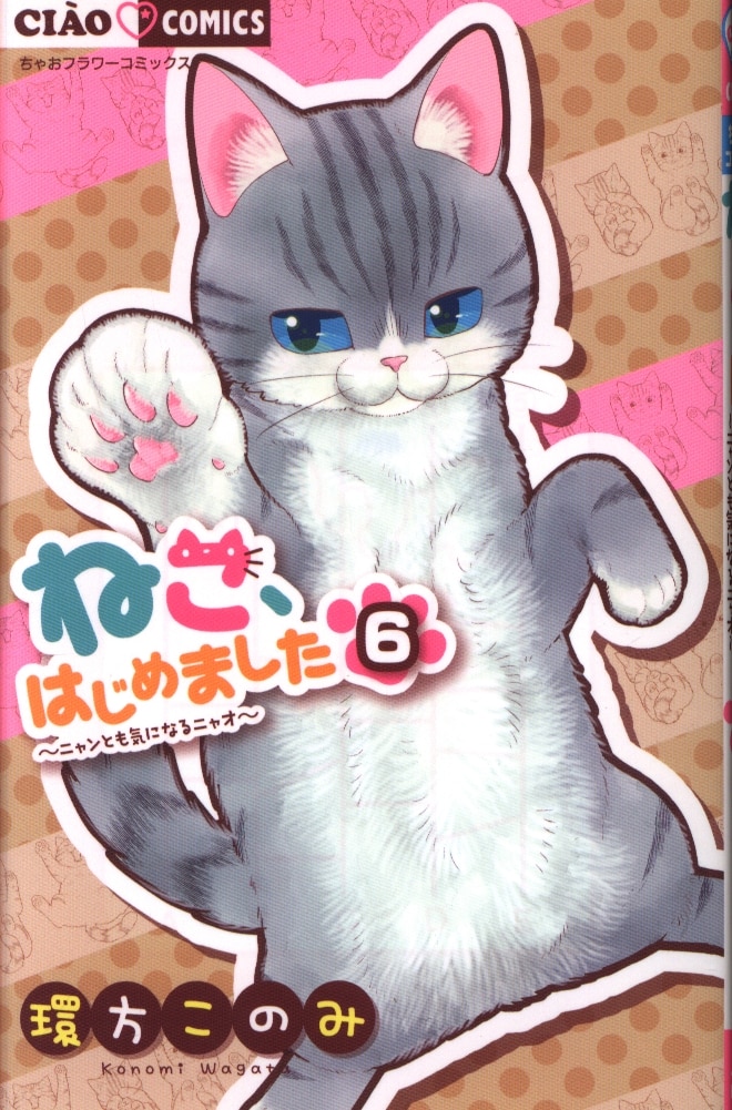 小学館 ちゃおコミックス 環方このみ ねこ はじめました 6 まんだらけ Mandarake 小学館 ちゃおコミックス 環方このみ ねこ はじめました 6 まんだらけ Mandarake