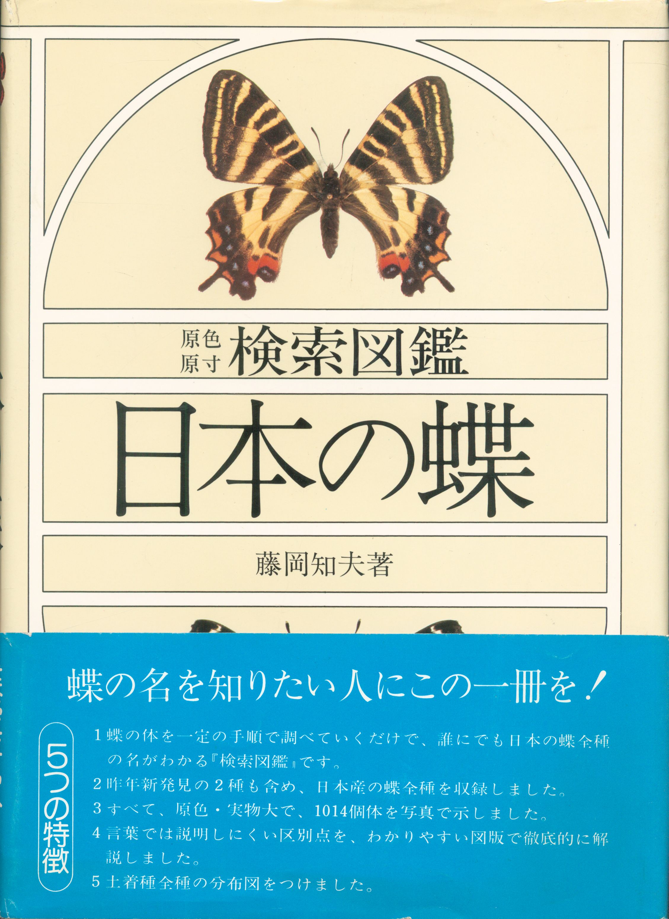 藤岡和夫 原色原寸検索図鑑 日本の蝶 まんだらけ Mandarake 藤岡和夫 原色原寸検索図鑑 日本の蝶 まんだらけ Mandarake