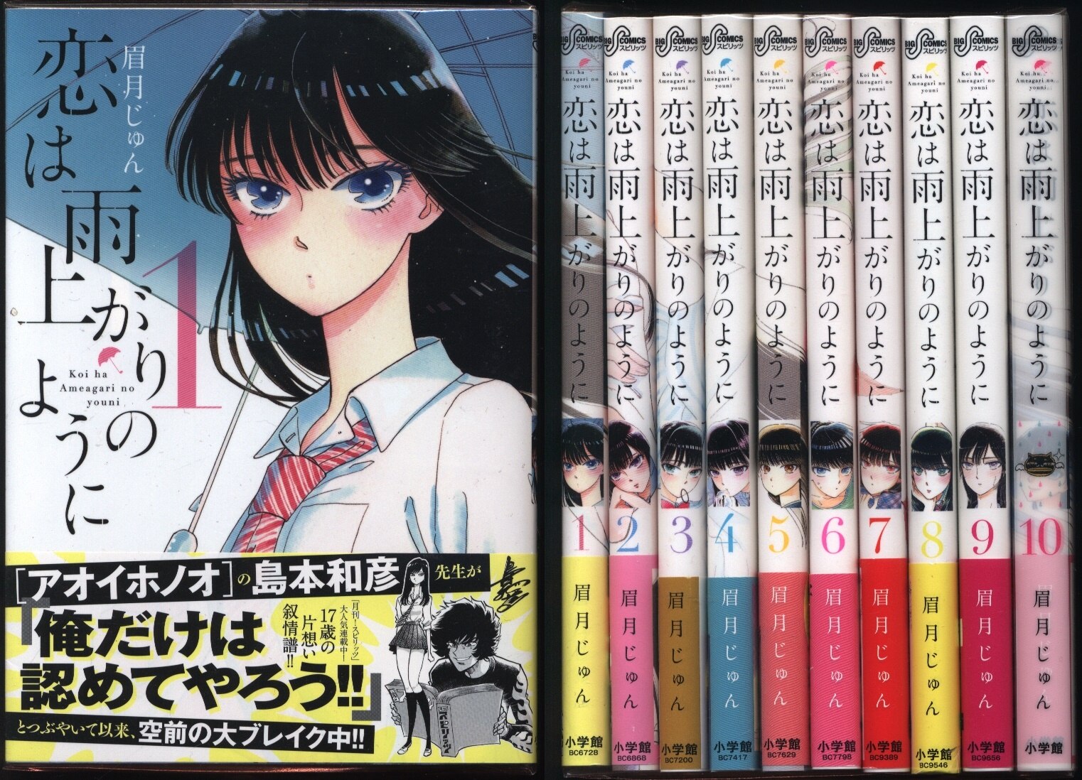 眉月じゅん 恋は雨上がりのように 全10巻セット まんだらけ Mandarake 眉月じゅん 恋は雨上がりのように 全10巻セット まんだらけ Mandarake