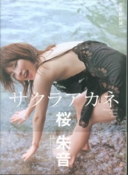 Akane Sakura