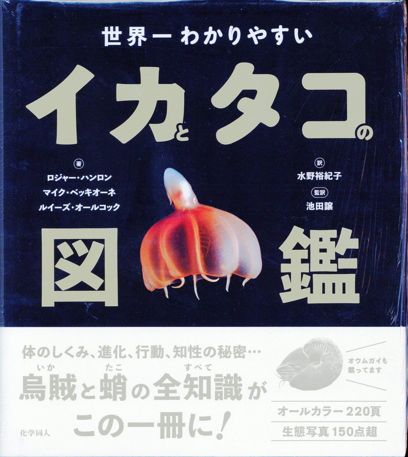 ロジャー ハンロン他 世界一わかりやすい イカとタコの図鑑 まんだらけ Mandarake ロジャー ハンロン他 世界一わかりやすい イカとタコの図鑑 まんだらけ Mandarake