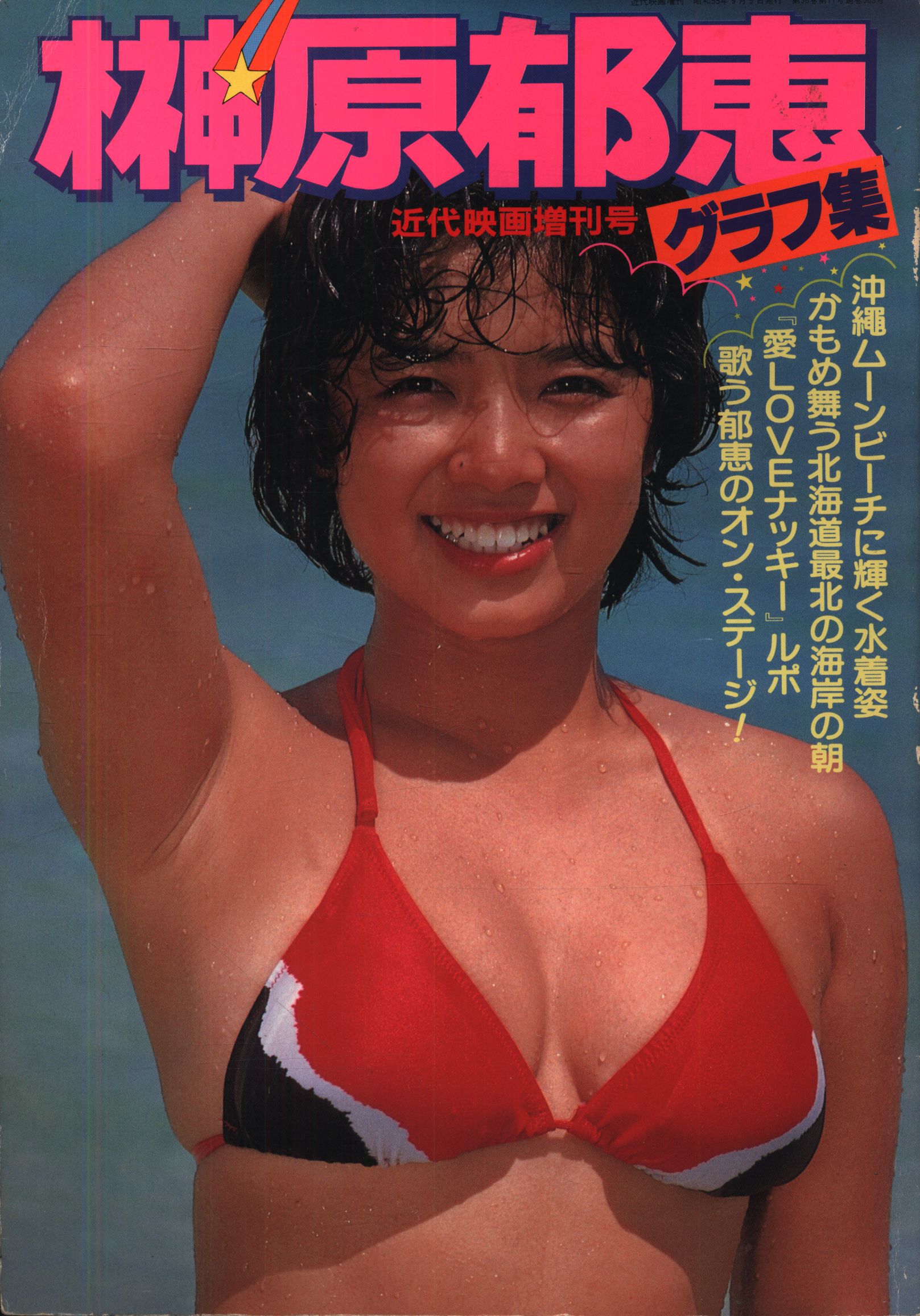 早割 旅行 近代映画増刊号 榊原郁恵 Mandarake まんだらけ | 榊原郁恵グラフ集 その他