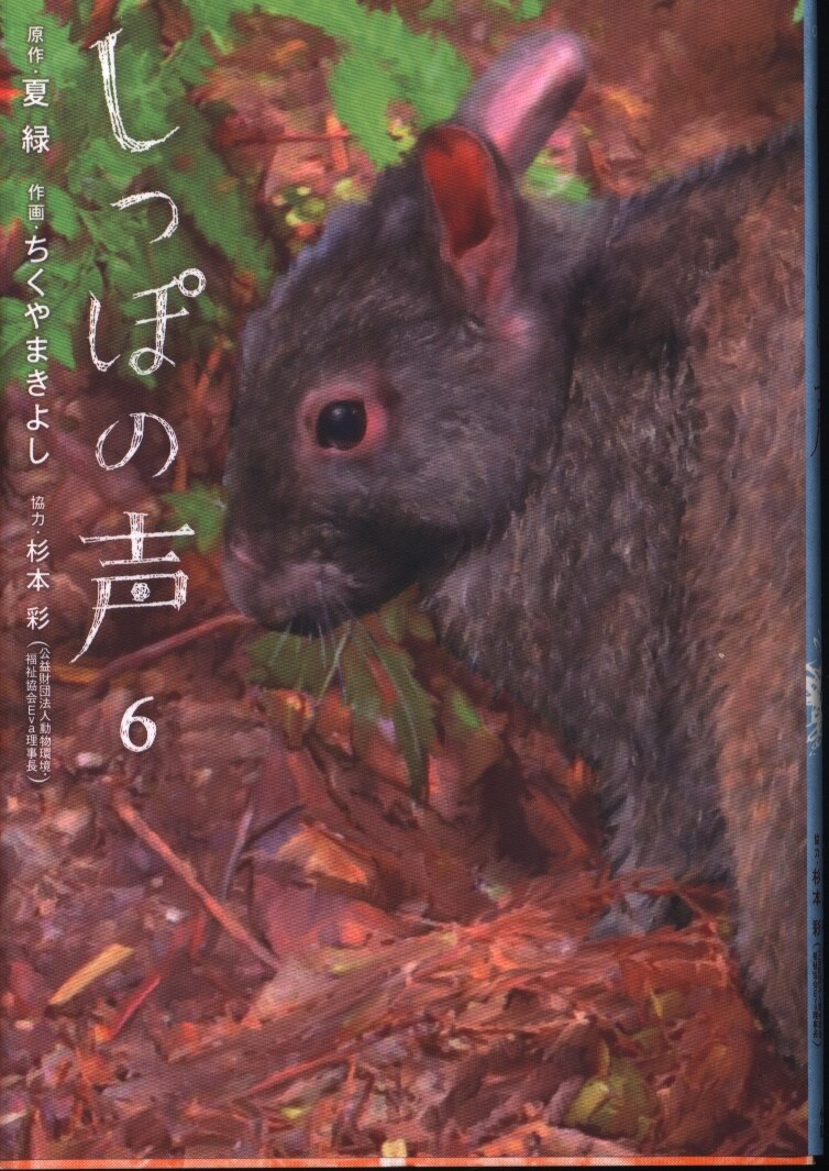 小学館 ビッグコミックス ちくやまきよし しっぽの声 6 まんだらけ Mandarake 小学館 ビッグコミックス ちくやまきよし しっぽの声 6 まんだらけ Mandarake
