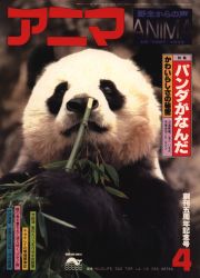 アニマ1978年3月号