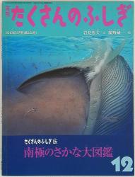 A lot of mysterious December 2012 issue