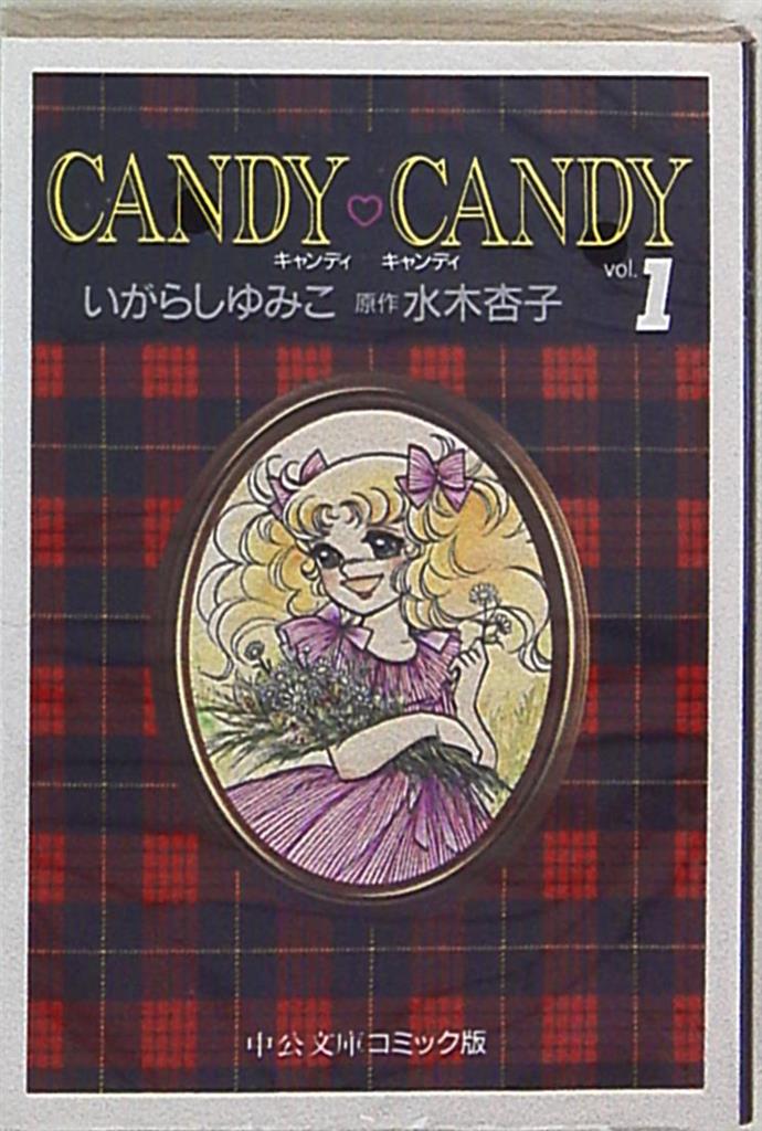 福袋セール 文庫版 キャンディキャンディ 全巻セット 全巻セット