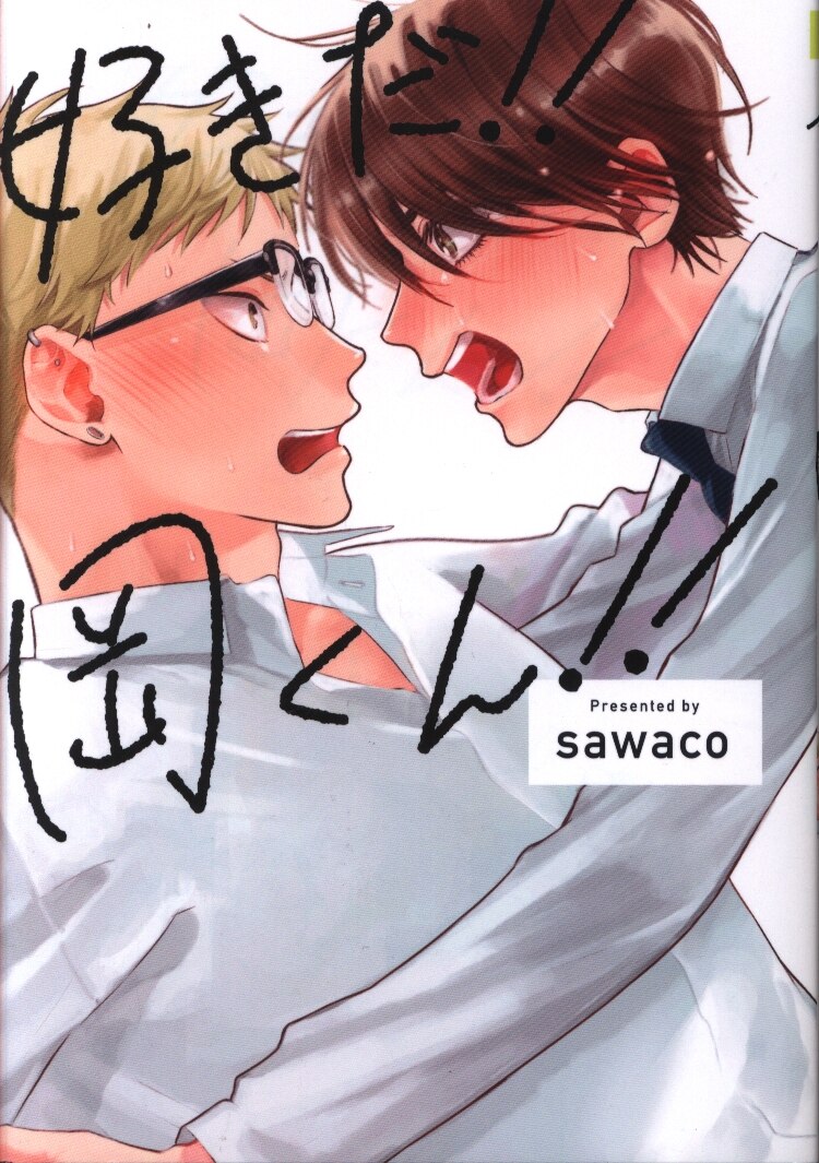 Julian Publishing S G Lish Comics Sawaco Favorite Oka Kun Mandarake Online Shop