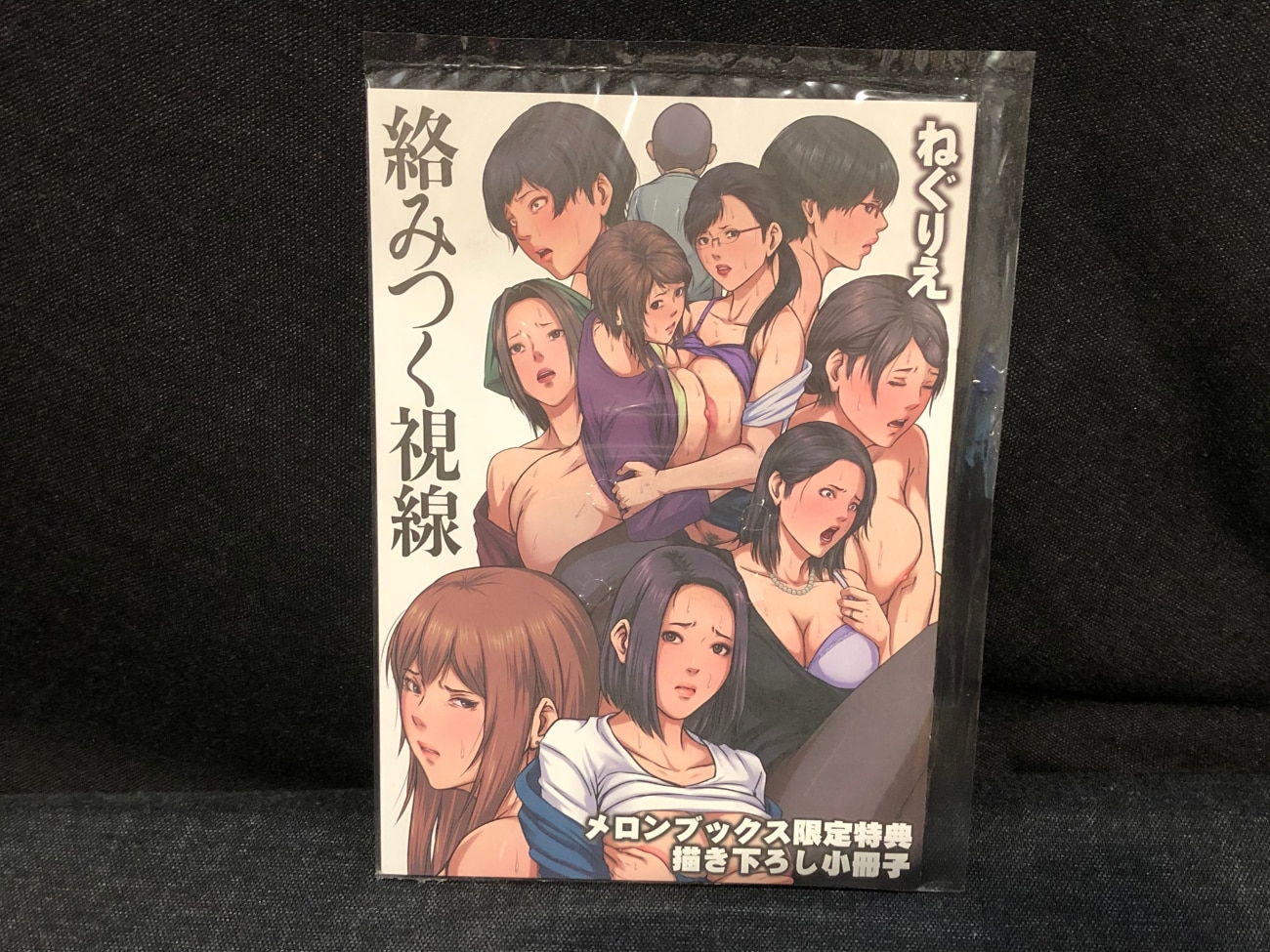 絡みつく視線 ねぐりえ メロンブックス購入特典 小冊子 | まんだらけ Mandarake