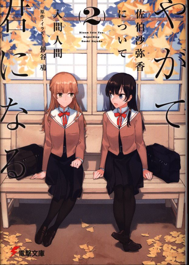 Kadokawa 電撃文庫 入間人間 やがて君になる 佐伯沙弥香について 2 まんだらけ Mandarake