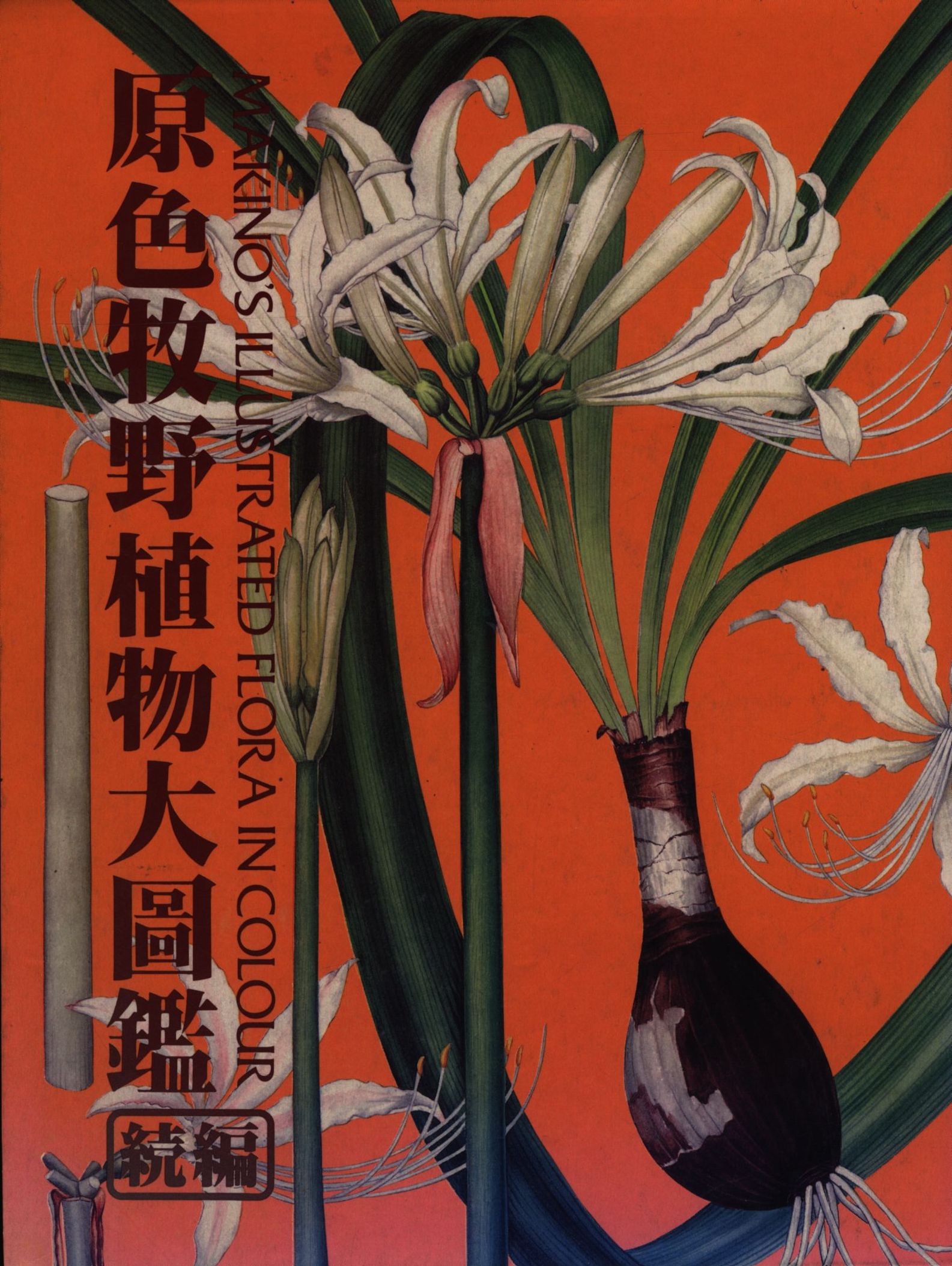 原色牧野植物大図鑑 続編 まんだらけ Mandarake 原色牧野植物大図鑑 続編 まんだらけ Mandarake
