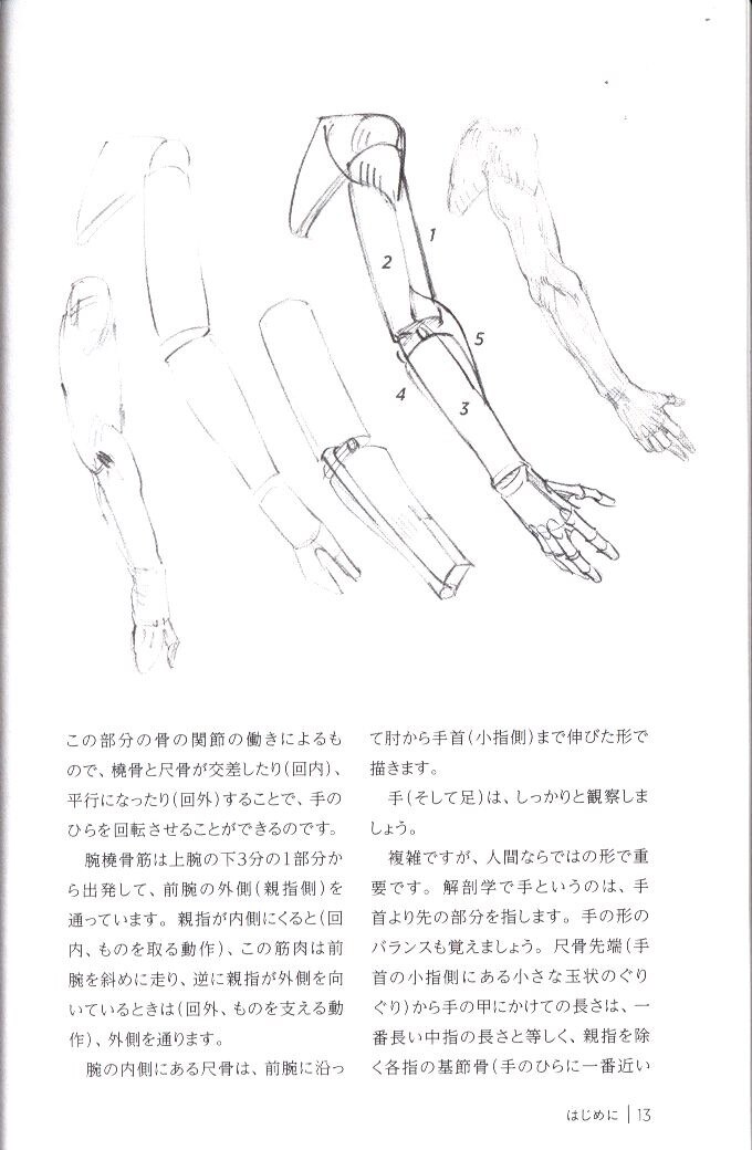 グラフィック社 ミニシリーズ モルフォ人体デッサン 箱と円筒で描く まんだらけ Mandarake