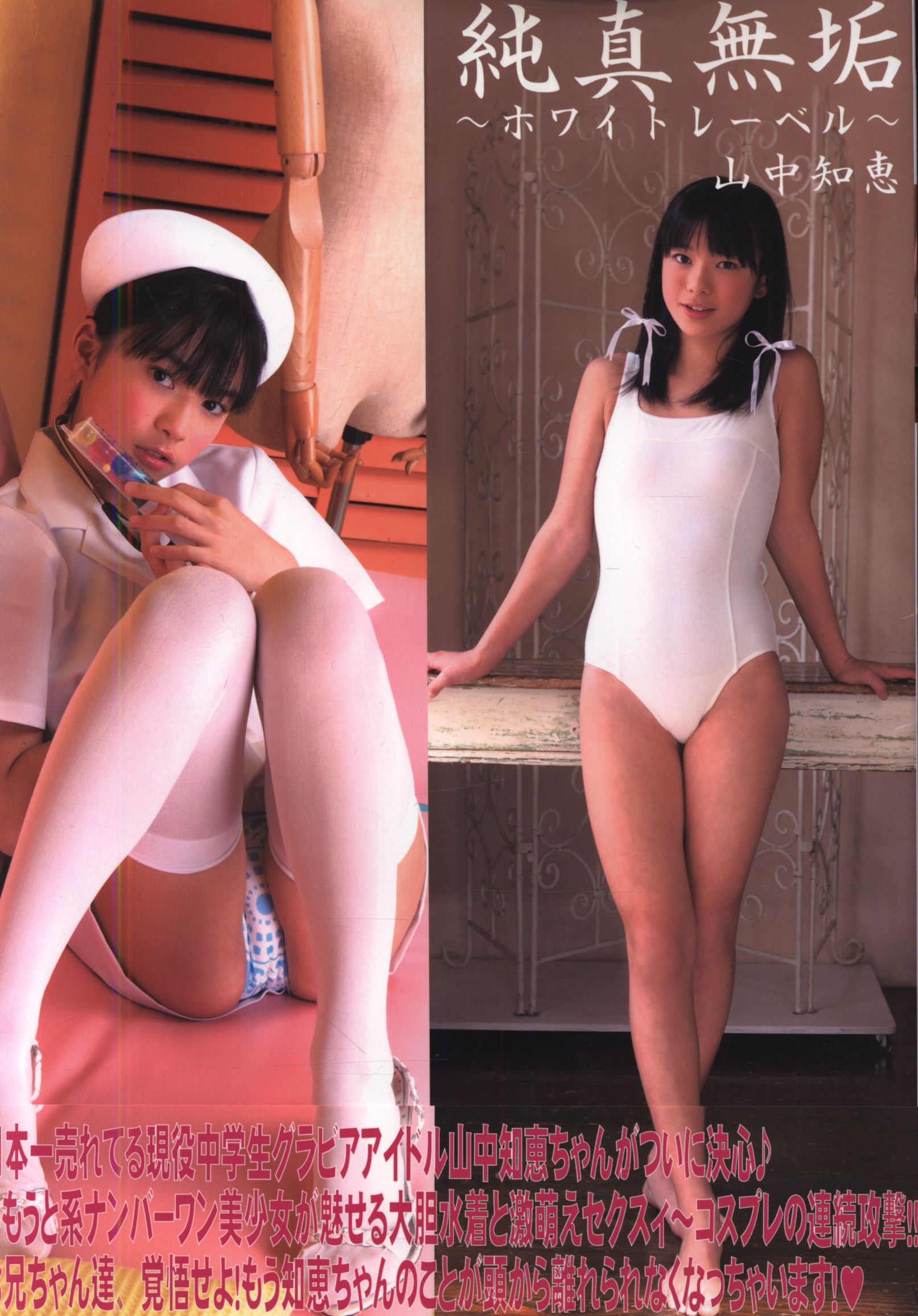  tomoe yamanaka 1200 Signed Tomoe Yamanaka Innocent White Label Tomoe Yamanaka Photograph  Collection | Mandarake Online Shop