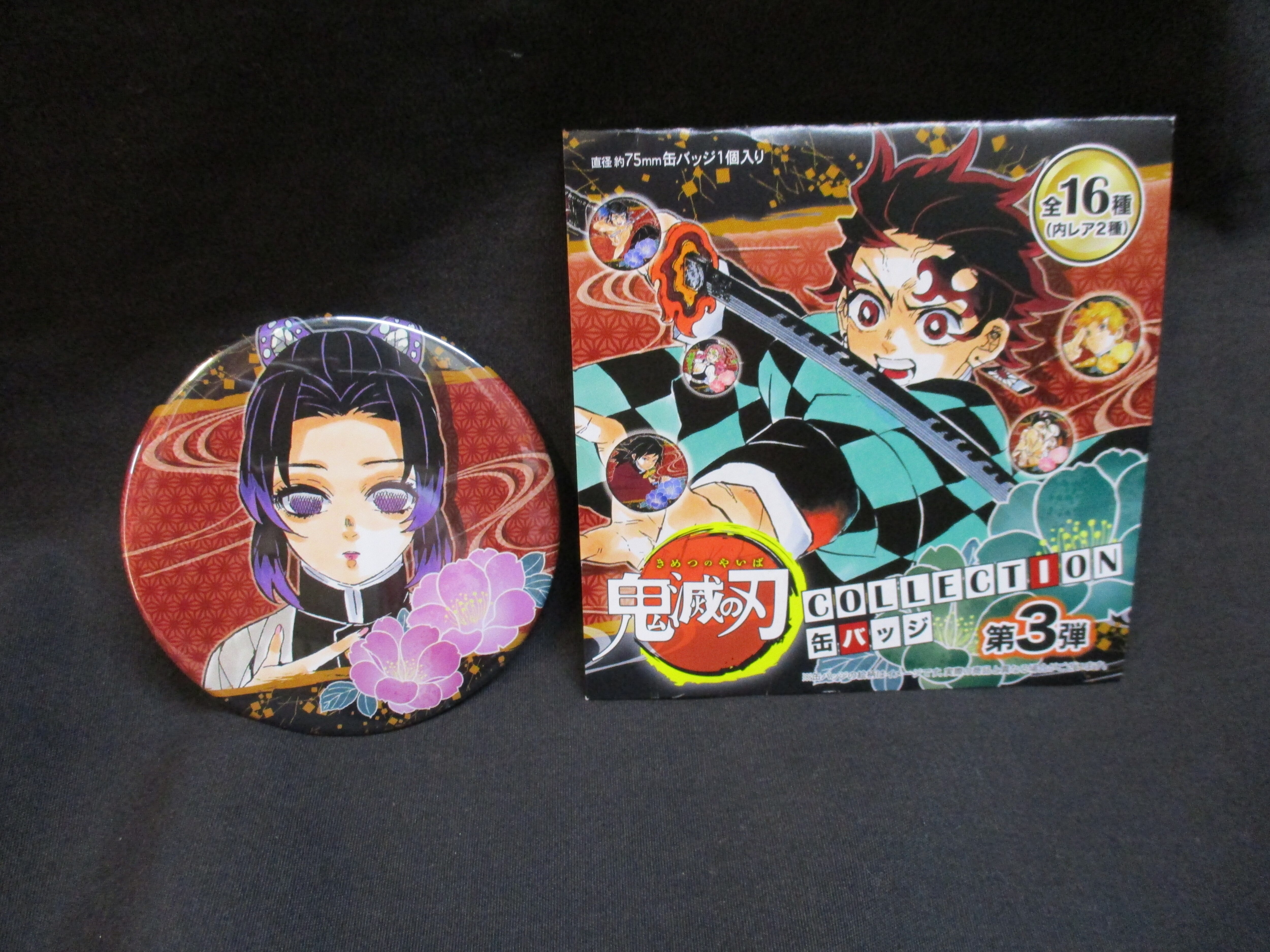 胡蝶しのぶ 正面 鬼滅の刃 第3弾 Collection 缶バッジ まんだらけ Mandarake