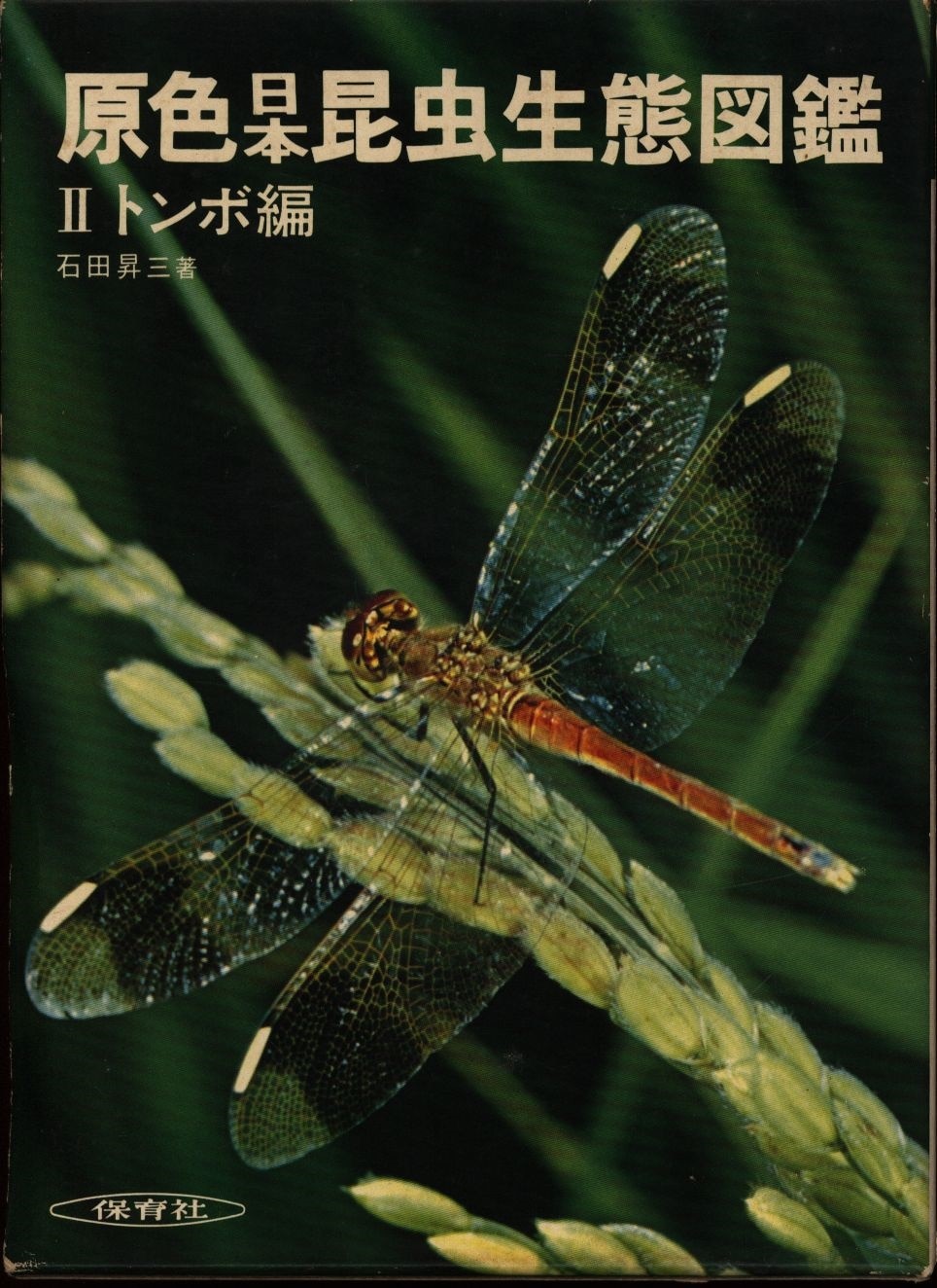 原色日本昆虫生態図鑑 2 石田昇三 トンボ編 まんだらけ Mandarake